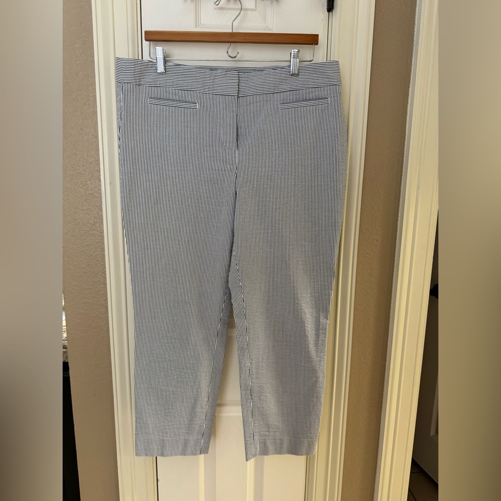 Ann Taylor Blue and White Striped Cropped Pants